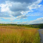 Freshkills Park. Seriously, this is New York City? Yes it is!<br/>